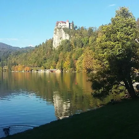 Apartma Tia Apartment *